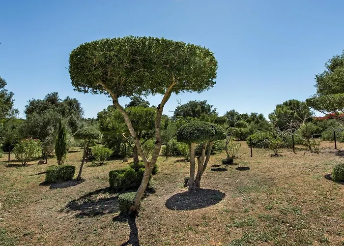 Monte Pardal W/ Heated Pool In Natural Park Villa *